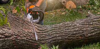 Best Lawn Drainage Solutions  in Hyattsville, MD